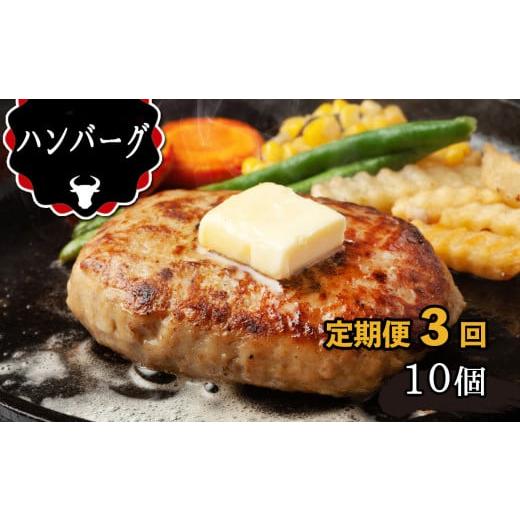 ふるさと納税 熊本県 玉名市 【定期便3回】 肥後の赤牛ハンバーグ 150g×10 | 肉 あか牛 ...