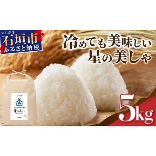 ふるさと納税 米 沖縄県 石垣市 石垣島産 星の美(かい)しゃ 5kg みやぎ米屋 日本一早い新米の...