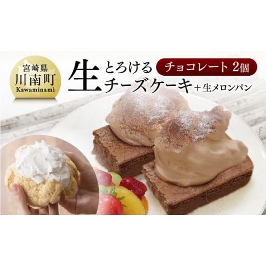 ふるさと納税 宮崎県 川南町 『押川春月堂本店』とろける生チーズケーキセット（チョコ×２個） 【 ケ...