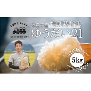 ふるさと納税 長野県 木島平村 【減農薬】【無化学肥料】【特別栽培米】木島平産ゆうだい21 （小池フ...