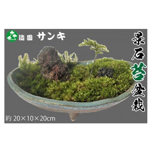 ふるさと納税 京都府 南丹市 027N486 京都造園サンキ　景石苔盆栽[高島屋選定品］