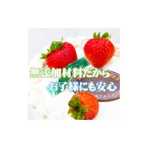 ふるさと納税 ケーキ・カステラ フルーツケーキ...の詳細画像3