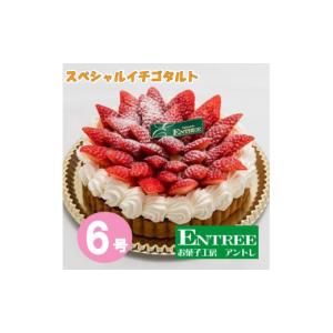 ふるさと納税 ケーキ・カステラ タルト 大阪府 泉南市 スペシャルイチゴタルト6号サイズ 074C-002