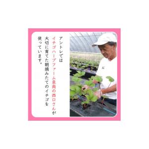 ふるさと納税 ケーキ・カステラ タルト 大阪府...の詳細画像5