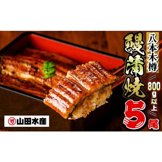 ふるさと納税 うなぎ 鹿児島県 志布志市 数量限定 国産 八本木樽鰻の蒲焼(160g以上×5尾) ...