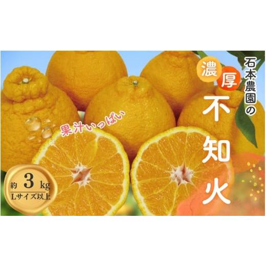 ふるさと納税 みかん・柑橘類 デコポン 三重県 紀宝町 Lサイズ以上 石本農園の不知火3kg 202...