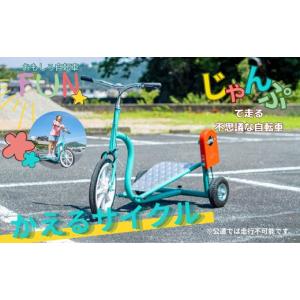 ふるさと納税 自転車 静岡県 伊豆市 おもしろ...の詳細画像1