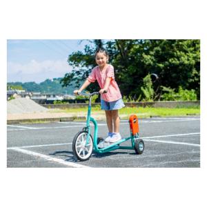 ふるさと納税 自転車 静岡県 伊豆市 おもしろ...の詳細画像2