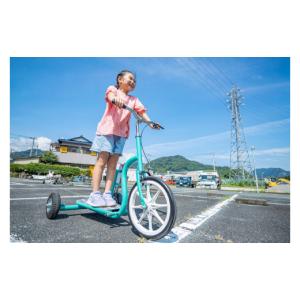 ふるさと納税 自転車 静岡県 伊豆市 おもしろ...の詳細画像3