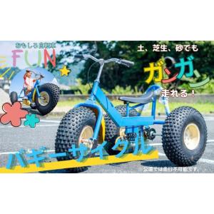 ふるさと納税 自転車 静岡県 伊豆市 おもしろ自転車 バギーサイクル 自転車 サイクリング タイヤ 伊豆 静岡 90-002
