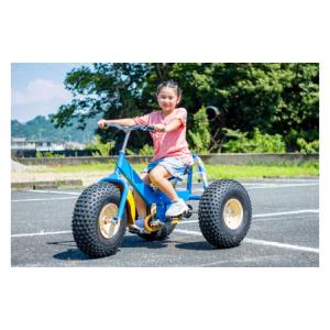 ふるさと納税 自転車 静岡県 伊豆市 おもしろ...の詳細画像2