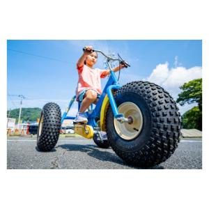 ふるさと納税 自転車 静岡県 伊豆市 おもしろ...の詳細画像3