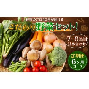 ふるさと納税 セット・詰合せ 長崎県 時津町  定期便 6ヶ月コース 野菜のプロ40年が届けるこだわり野菜セット 7〜8品目 詰め合わせ 2026年1月上旬より発送開始…