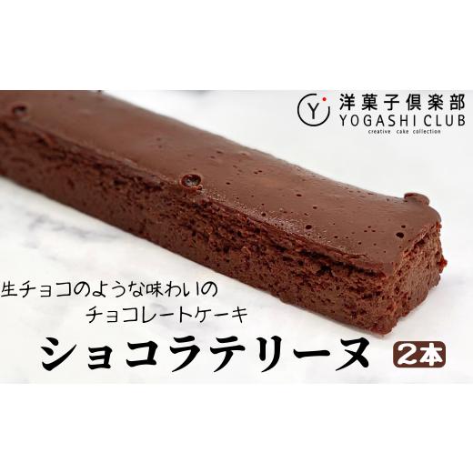 ふるさと納税 菓子 チョコレート 高知県 安芸市 ショコラテリーヌ 2本 (160g×2本) セット...