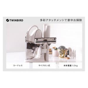 ブレインマシン KASINA カシーナ 対応 拡張ゴーグル DeepVision
