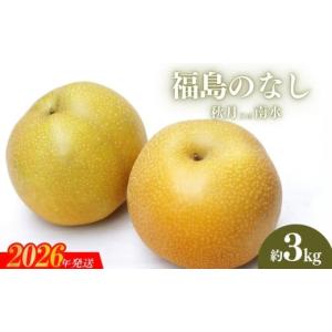 ふるさと納税 梨 福島県 福島市 No.2185福島のなし　秋月または南水　約3kg 2026年発送　先行予約