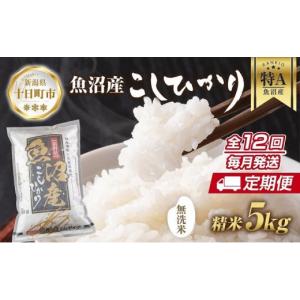ふるさと納税 無洗米 新潟県 十日町市 定期便 ｜無洗米｜ 新潟県 魚沼産 コシヒカリ お米 5kg×計12回 精米済み 年間 毎月発送 こしひかり （お米の美味しい…
