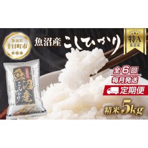 ふるさと納税 米 コシヒカリ 新潟県 十日町市 定期便 新潟県 魚沼産 コシヒカリ お米 5kg×計6回 精米済み 半年間 毎月発送 こしひかり （お米の美味しい炊き…