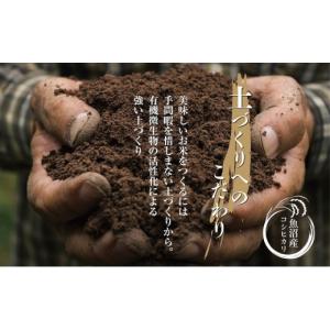 ふるさと納税 米 コシヒカリ 新潟県 十日町市...の詳細画像3