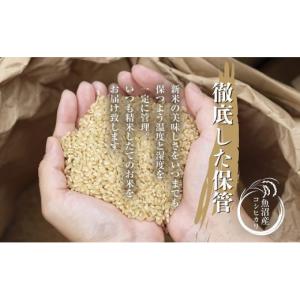 ふるさと納税 米 コシヒカリ 新潟県 十日町市...の詳細画像4