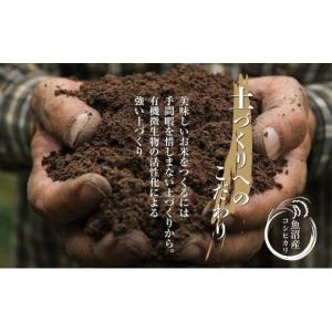 ふるさと納税 無洗米 新潟県 十日町市 定期便...の詳細画像3