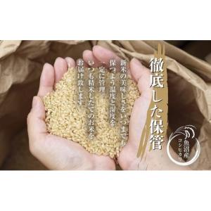 ふるさと納税 無洗米 新潟県 十日町市 定期便...の詳細画像4
