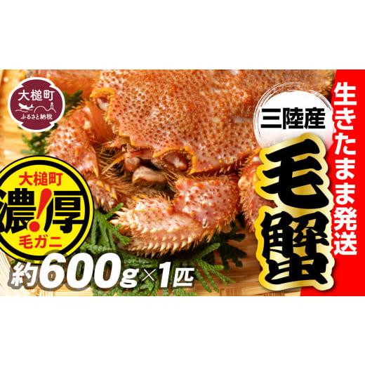 ふるさと納税 岩手県 大槌町 【令和7年発送先行予約】三陸産！活毛ガニ600g×1杯(1尾)【202...