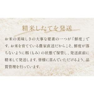 ふるさと納税 米 つや姫 宮城県 石巻市 先行...の詳細画像2