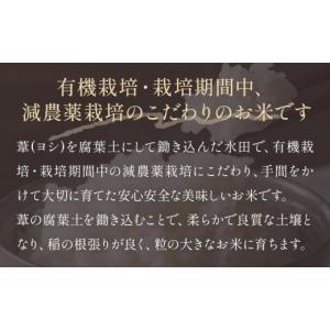 ふるさと納税 米 つや姫 宮城県 石巻市 先行...の詳細画像3