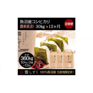 ふるさと納税 米 コシヒカリ 新潟県 十日町市 令和7年産 定期便 魚沼産コシヒカリ 合計360kg 毎月30kg×12回 お米 ブランド米 銘柄米 精米 白米 ご飯 おにぎ…