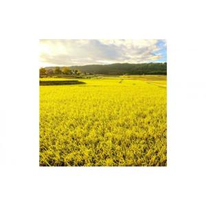 ふるさと納税 米 コシヒカリ 新潟県 十日町市...の詳細画像2