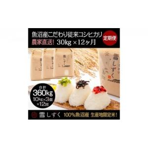 ふるさと納税 米 コシヒカリ 新潟県 十日町市 令和7年産 定期便 魚沼産こだわり従来コシヒカリ 合計360kg 毎月30kg×12回 ブランド米 銘柄米 白米 精米 ご飯 …