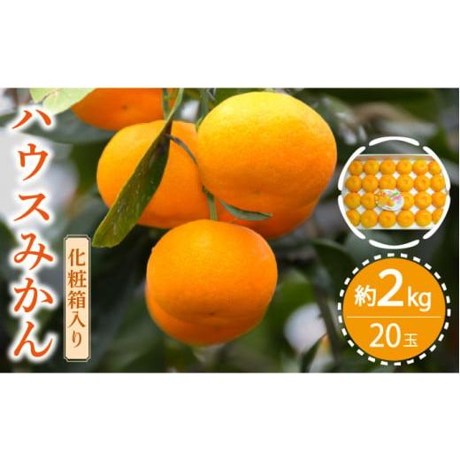 ふるさと納税 長崎県 南島原市 【2024年6月中旬〜発送】ハウス みかん 約2kg ／ みかん 贈...