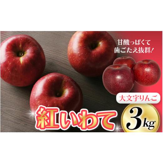 ふるさと納税 岩手県 平泉町 【令和6年度分予約受付】大文字りんご園 紅いわて 約3kg(7〜10玉...