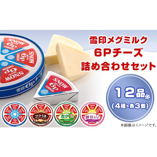 ふるさと納税 茨城県 阿見町 18-10雪印メグミルク・6Pチーズ詰め合わせセット（12品）