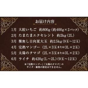 ふるさと納税 ぶどう マスカット 宮崎県 新富...の詳細画像2