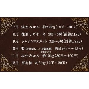 ふるさと納税 ぶどう マスカット 宮崎県 新富...の詳細画像3