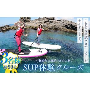 ふるさと納税 体験チケット 千葉県 鋸南町 SU...の商品画像