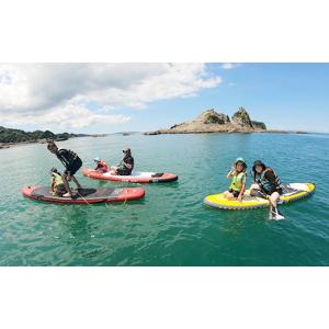 ふるさと納税 体験チケット 千葉県 鋸南町 S...の詳細画像2