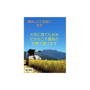 ふるさと納税 無洗米 新潟県 南魚沼市 令和8...の詳細画像5