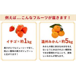 ふるさと納税 果物の詰合せ 長崎県 南島原市 ...の詳細画像4