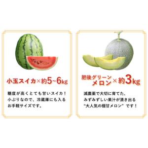 ふるさと納税 果物の詰合せ 長崎県 南島原市 ...の詳細画像5