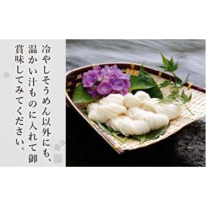 ふるさと納税 そうめん 長崎県 南島原市 定期...の詳細画像4