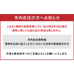 ふるさと納税 そうめん 長崎県 南島原市 そう...の詳細画像4