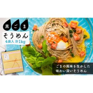 ふるさと納税 長崎県 南島原市 そうめんの吉田がつくる黒ごまそうめん  (50g×5束)×4袋入  ...