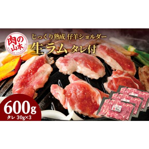 ふるさと納税 北海道 千歳市 生ラム （冷凍）タレ付 600g＜肉の山本＞