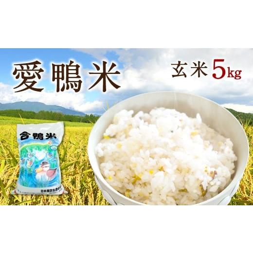 ふるさと納税 大分県 竹田市 愛鴨米 玄米 5kg コメ 米