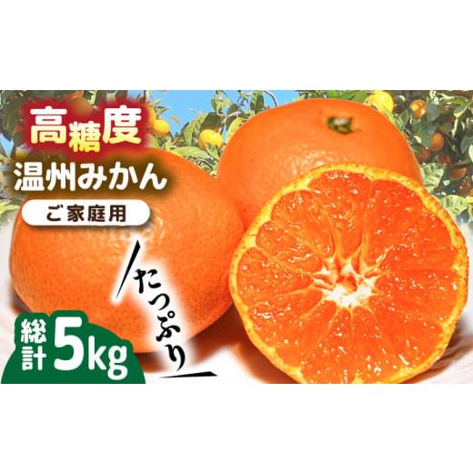 ふるさと納税 果物類 みかん 長崎県 南島原市  2025年11月下旬〜発送 高糖度 温州みかん 約...
