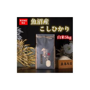 ふるさと納税 米 コシヒカリ 新潟県 - 頒布会・令和7年産 魚沼産コシヒカリ（白米5kg×全6回） 新潟県 特A地区 ｜新潟　魚沼　コシヒカリ　定期便　5kg　6回…