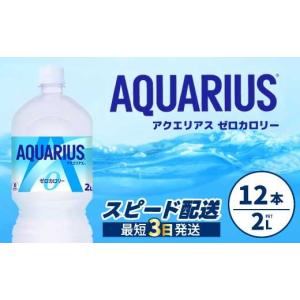 ふるさと納税 水・ミネラルウォーター 1L〜2L 広島県 三原市 アクエリアスゼロ PET 2L×12本(6本×2ケース) スポーツドリンク スポーツ飲料 清涼飲料水 水分補…